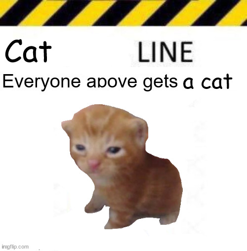 _____ line | Cat; a cat | image tagged in _____ line | made w/ Imgflip meme maker