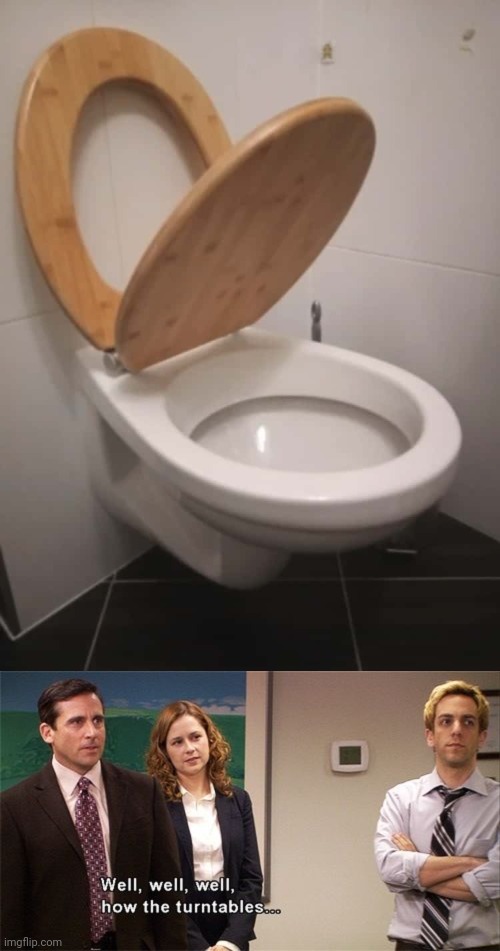 Toilet seat | image tagged in how the turntables,you had one job,toilets,toilet,memes,toilet seat | made w/ Imgflip meme maker