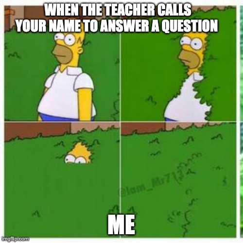 meme project | WHEN THE TEACHER CALLS YOUR NAME TO ANSWER A QUESTION; ME | image tagged in homer hides | made w/ Imgflip meme maker