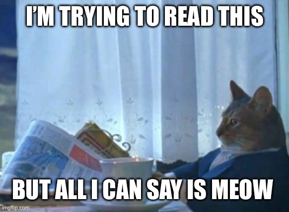 Meow | I’M TRYING TO READ THIS; BUT ALL I CAN SAY IS MEOW | image tagged in cat newspaper | made w/ Imgflip meme maker