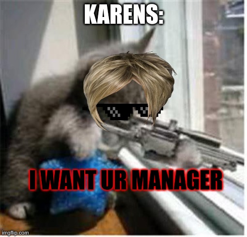 Karen's when they want the manager | KARENS:; I WANT UR MANAGER | image tagged in cats with guns | made w/ Imgflip meme maker