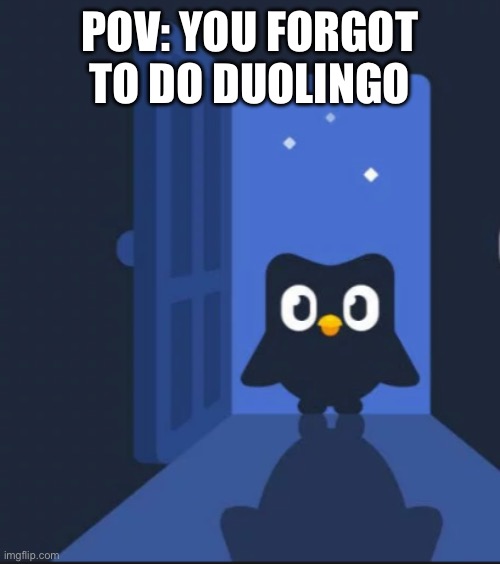 Duolingo bird | POV: YOU FORGOT TO DO DUOLINGO | image tagged in duolingo bird | made w/ Imgflip meme maker