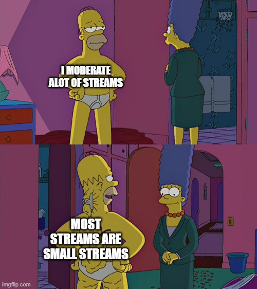 Literally Me | I MODERATE ALOT OF STREAMS; MOST STREAMS ARE SMALL STREAMS | image tagged in homer simpson's back fat,imgflip,imgflip mods,memes,justacheemsdoge,stream | made w/ Imgflip meme maker