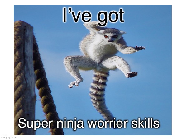 Lemur | I’ve got; Super ninja worrier skills | image tagged in lemur | made w/ Imgflip meme maker