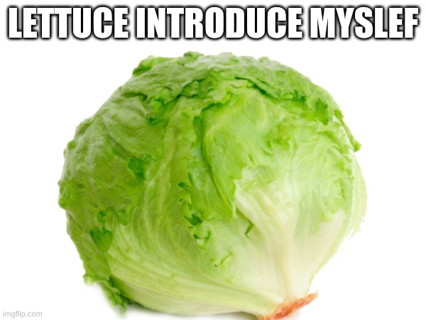 lettuce on imgflip be like | LETTUCE INTRODUCE MYSLEF | image tagged in dad jokes | made w/ Imgflip meme maker
