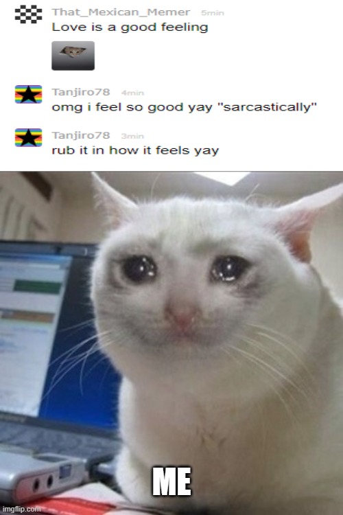 Crying cat | ME | image tagged in crying cat | made w/ Imgflip meme maker