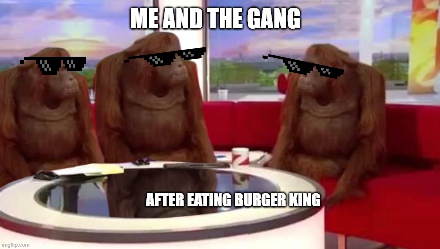 BK | ME AND THE GANG; AFTER EATING BURGER KING | image tagged in where monkey,burger king | made w/ Imgflip meme maker