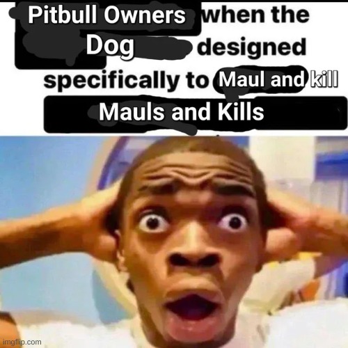 Shitpost #21 | made w/ Imgflip meme maker