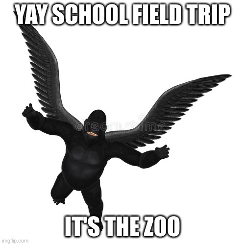 Flying Gorilla | YAY SCHOOL FIELD TRIP; IT'S THE ZOO | image tagged in flying gorilla | made w/ Imgflip meme maker