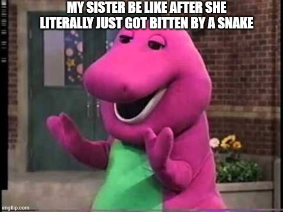 Barny | MY SISTER BE LIKE AFTER SHE LITERALLY JUST GOT BITTEN BY A SNAKE | image tagged in barny | made w/ Imgflip meme maker