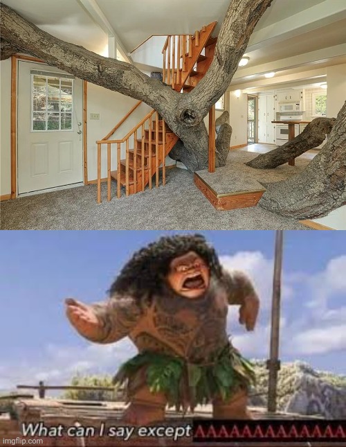 Tree branch | image tagged in what can i say except aaaaaaaaaaa,tree branch,house,home,you had one job,memes | made w/ Imgflip meme maker