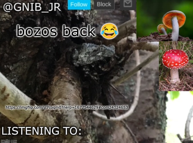 another smarty1234 alt | bozos back 😂; https://imgflip.com/i/7coqm0?nerp=1677544629#com24124653 | image tagged in gnib_jr's new temp | made w/ Imgflip meme maker