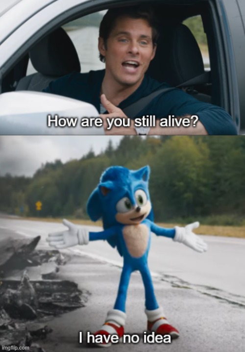 Sonic : How are you still alive | image tagged in sonic how are you still alive | made w/ Imgflip meme maker