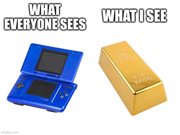 WHAT I SEE; WHAT EVERYONE SEES | image tagged in gaming,video games,nintendo,gold | made w/ Imgflip meme maker