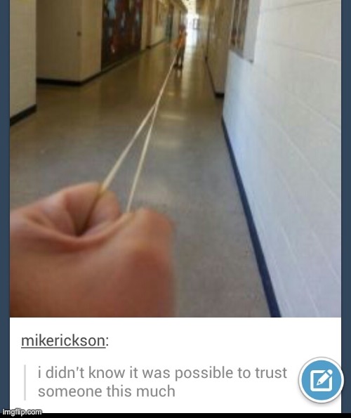 its a strong but stringy relationship | image tagged in elastic,school,who reads tags | made w/ Imgflip meme maker