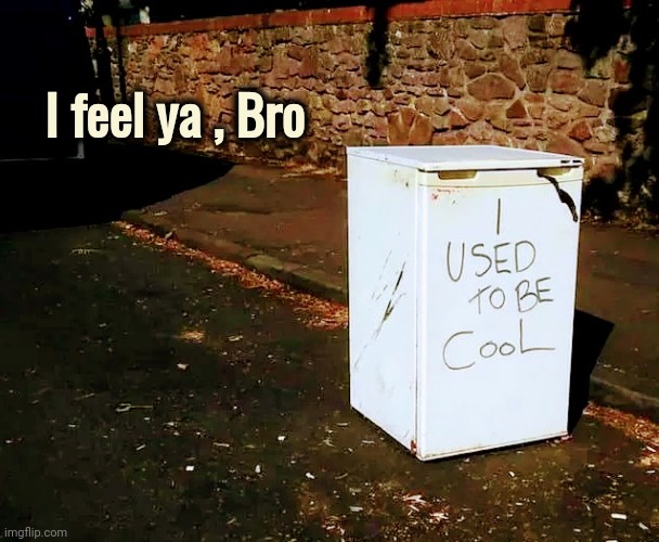 When you outlive your usefulness | I feel ya , Bro | image tagged in freezing cold,well yes but actually no,fridge,broken,discarded | made w/ Imgflip meme maker