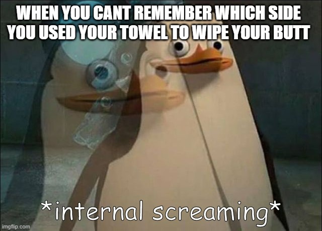 Private Internal Screaming | WHEN YOU CANT REMEMBER WHICH SIDE YOU USED YOUR TOWEL TO WIPE YOUR BUTT | image tagged in private internal screaming | made w/ Imgflip meme maker