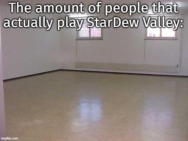 never met a single person that played it | The amount of people that actually play StarDew Valley: | image tagged in empty room | made w/ Imgflip meme maker