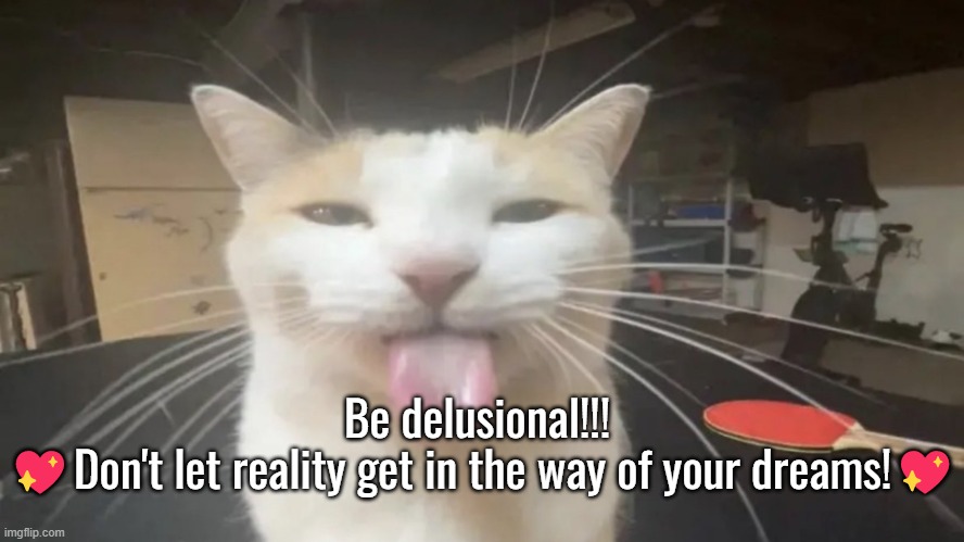 Bleh Cat | Be delusional!!! 
💖Don't let reality get in the way of your dreams!💖 | image tagged in bleh cat | made w/ Imgflip meme maker