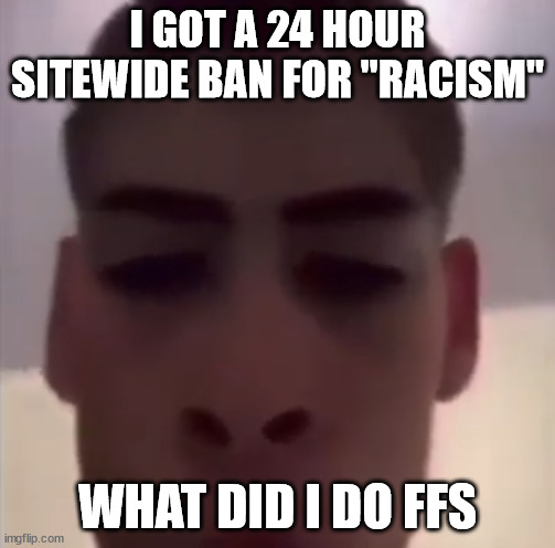 Massive L. | I GOT A 24 HOUR SITEWIDE BAN FOR "RACISM"; WHAT DID I DO FFS | image tagged in you live in a sophisticated mud hut | made w/ Imgflip meme maker