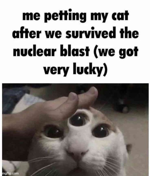 Yay | image tagged in memes | made w/ Imgflip meme maker