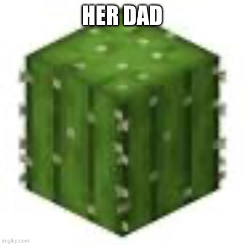 minecraft cactus | HER DAD | image tagged in minecraft cactus | made w/ Imgflip meme maker