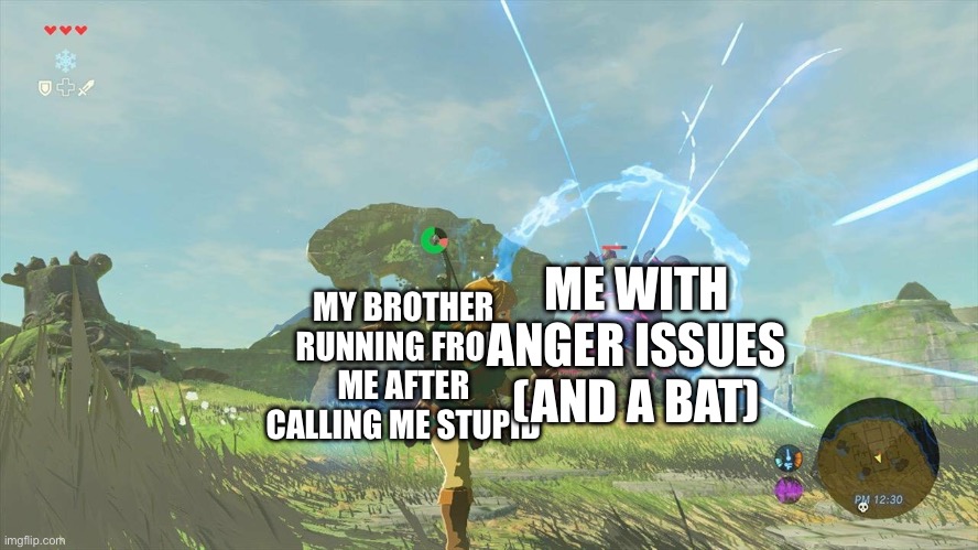 Link running from guardian | ME WITH ANGER ISSUES (AND A BAT); MY BROTHER RUNNING FROM ME AFTER CALLING ME STUPID | image tagged in link running from guardian | made w/ Imgflip meme maker