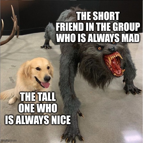 That one short friend VS the tall one | THE SHORT FRIEND IN THE GROUP WHO IS ALWAYS MAD; THE TALL ONE WHO IS ALWAYS NICE | image tagged in dog vs werewolf,friends,short people | made w/ Imgflip meme maker