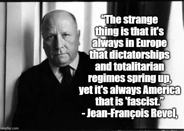 Europe and America | “The strange thing is that it's always in Europe that dictatorships and totalitarian regimes spring up, yet it's always America that is 'fascist.”
- Jean-François Revel, | image tagged in jean francois revel,politics,europe,america,philosophy | made w/ Imgflip meme maker