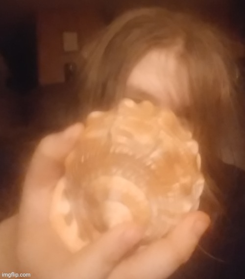 poster above gets a shell | made w/ Imgflip meme maker