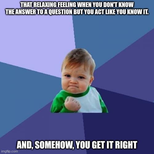 Such A Good Feeling.... | THAT RELAXING FEELING WHEN YOU DON'T KNOW THE ANSWER TO A QUESTION BUT YOU ACT LIKE YOU KNOW IT. AND, SOMEHOW, YOU GET IT RIGHT | image tagged in memes,success kid | made w/ Imgflip meme maker