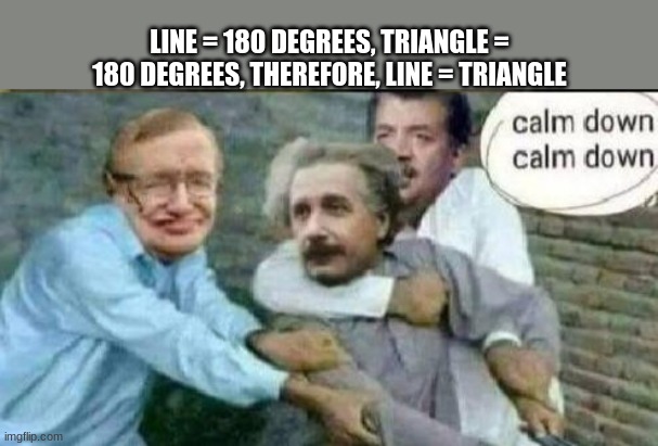 i guess so i not math nerd | LINE = 180 DEGREES, TRIANGLE = 180 DEGREES, THEREFORE, LINE = TRIANGLE | image tagged in calm down albert einstein,memes | made w/ Imgflip meme maker
