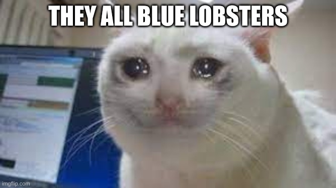 THEY ALL BLUE LOBSTERS | made w/ Imgflip meme maker