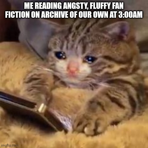 Or I make the fan fiction! | ME READING ANGSTY, FLUFFY FAN FICTION ON ARCHIVE OF OUR OWN AT 3:00AM | image tagged in crying cat on phone | made w/ Imgflip meme maker