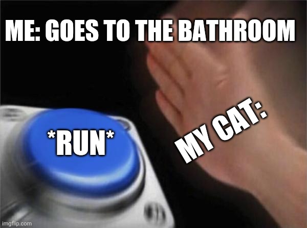 Blank Nut Button | ME: GOES TO THE BATHROOM; MY CAT:; *RUN* | image tagged in memes,blank nut button | made w/ Imgflip meme maker