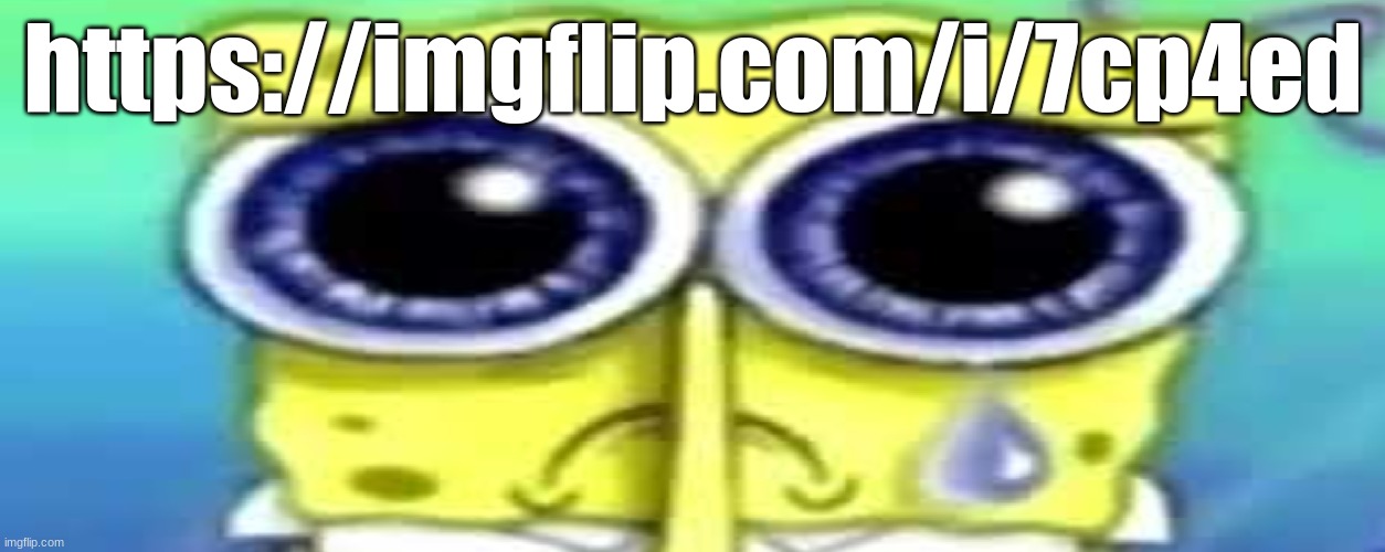 Sad Spong | https://imgflip.com/i/7cp4ed | image tagged in sad spong | made w/ Imgflip meme maker