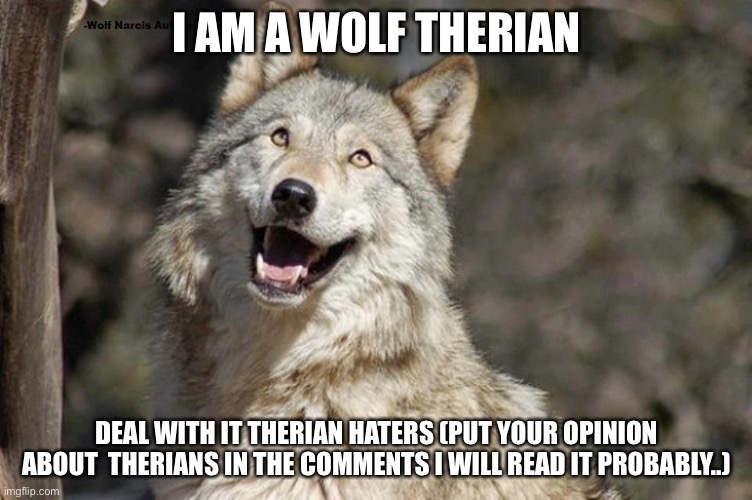 yes | I AM A WOLF THERIAN; DEAL WITH IT THERIAN HATERS (PUT YOUR OPINION ABOUT  THERIANS IN THE COMMENTS I WILL READ IT PROBABLY..) | made w/ Imgflip meme maker