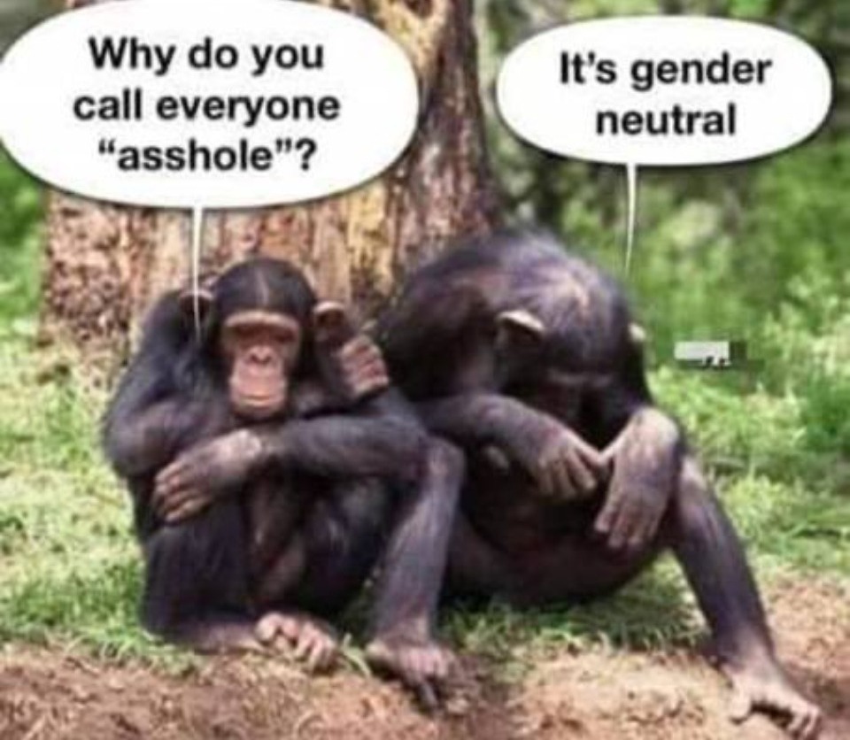 Why do you call everyone "asshole?" | image tagged in assholes,asshole,gender neutral,gender confusion,gender equality,devolution | made w/ Imgflip meme maker
