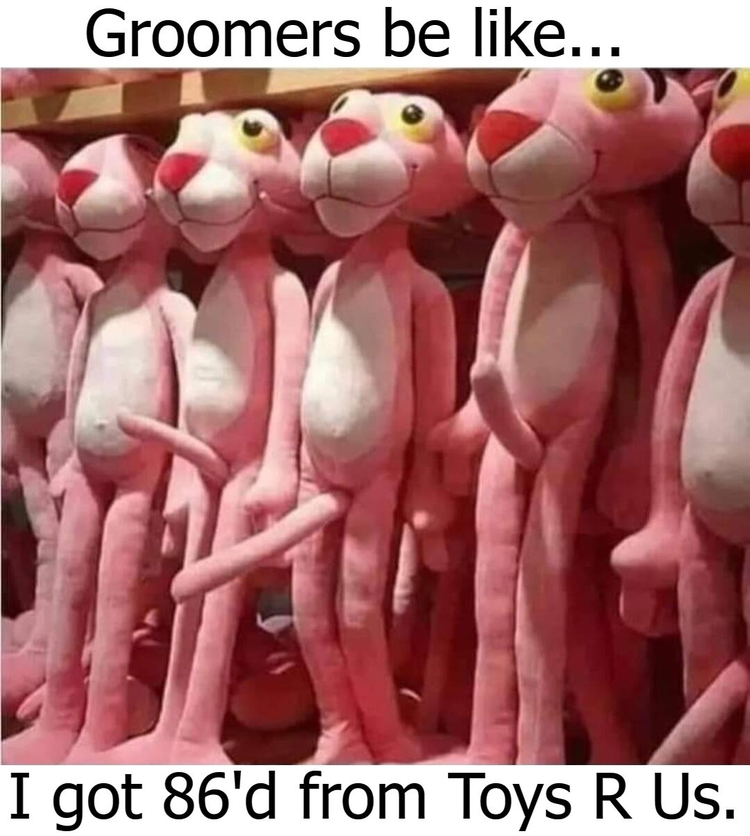 Groomers be like... | image tagged in groomers,toys r us,86ed,perverts,pedophiles,deviantart | made w/ Imgflip meme maker