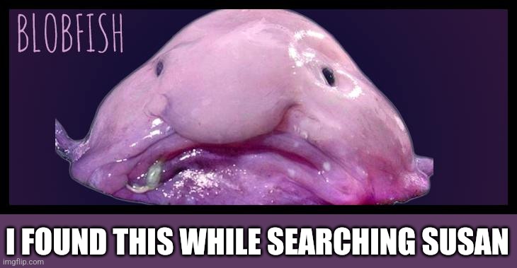 Blob Fish | I FOUND THIS WHILE SEARCHING SUSAN | image tagged in blob fish | made w/ Imgflip meme maker