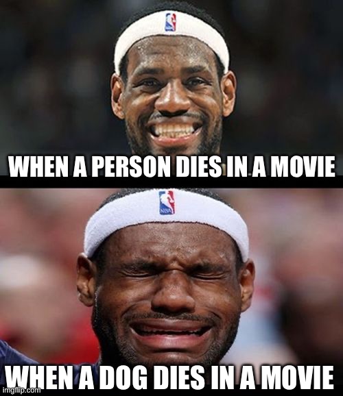 Person vs Dog Dying In A Movie | WHEN A PERSON DIES IN A MOVIE; WHEN A DOG DIES IN A MOVIE | image tagged in lebron happy sad,movies,dog,person,im out | made w/ Imgflip meme maker