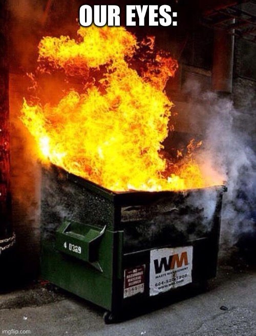 Dumpster Fire | OUR EYES: | image tagged in dumpster fire | made w/ Imgflip meme maker