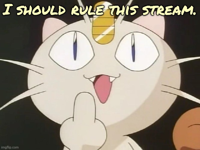 Meowth Middle Claw | I should rule this stream. | image tagged in meowth middle claw | made w/ Imgflip meme maker