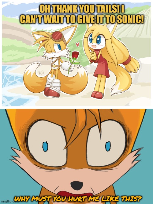 Tails gets trolled | OH THANK YOU TAILS! I CAN'T WAIT TO GIVE IT TO SONIC! WHY MUST YOU HURT ME LIKE THIS? | image tagged in no this is patrick,tails the fox,gets trolled | made w/ Imgflip meme maker