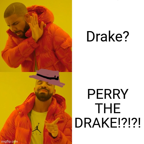 Drake Hotline Bling Meme | Drake? PERRY THE DRAKE!?!?! | image tagged in memes,drake hotline bling | made w/ Imgflip meme maker