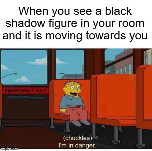 "oh hi beezlebub, didn't expect to see you here!" | When you see a black shadow figure in your room and it is moving towards you | image tagged in i'm in danger,memes | made w/ Imgflip meme maker