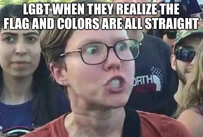 rip | LGBT WHEN THEY REALIZE THE FLAG AND COLORS ARE ALL STRAIGHT | image tagged in triggered liberal | made w/ Imgflip meme maker