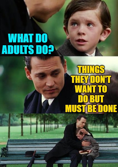 What Do Adults Do? | WHAT DO ADULTS DO? THINGS THEY DON'T WANT TO DO BUT MUST BE DONE | image tagged in memes,finding neverland,adult swim,adult humor,funny,lol | made w/ Imgflip meme maker