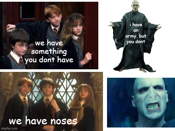 nobody nose | i have an army, but you dont; we have something you dont have; we have noses | image tagged in harry potter,voldemort,no nose | made w/ Imgflip meme maker