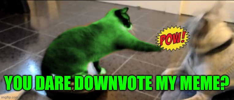 RayCat Roomba | YOU DARE DOWNVOTE MY MEME? | image tagged in raycat roomba | made w/ Imgflip meme maker
